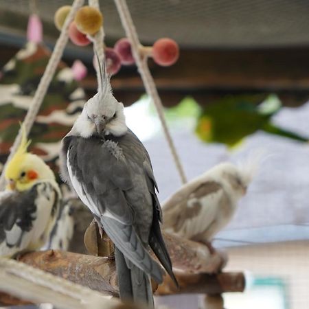 Maerchencamping Штур Экстерьер фото